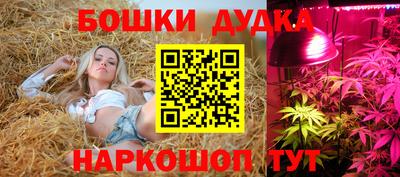 гидра Шебекино