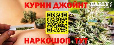 гидра Шебекино