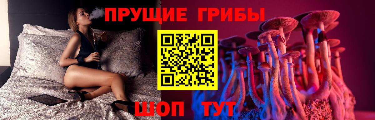 Галлюциногенные грибы Psilocybine cubensis Благодарный