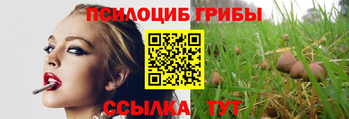 Благодарный  Псилоцибиновые грибы ЛСД  как найти закладки  Вход с VPN  Галлюциногенные грибы Psilocybe 